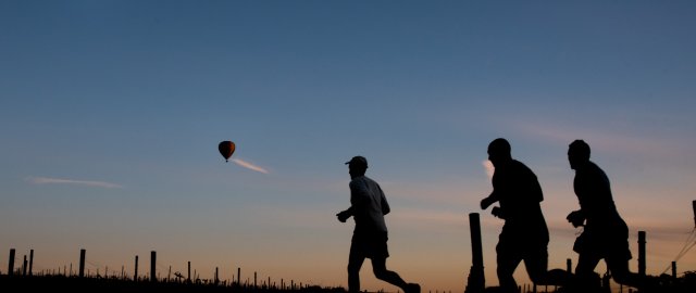 Hunter Valley Winery Marathon